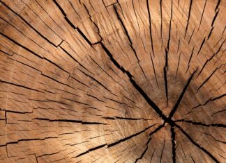 Z jakiego drewna robi się trzonki do młotków?